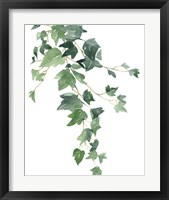 Framed 'Branch Study I' border=