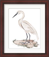 Framed 'White Heron I' border=