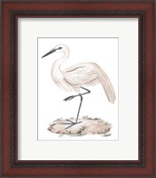 Framed 'White Heron III' border=