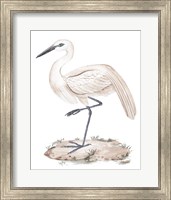 Framed 'White Heron III' border=