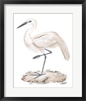 A White Heron III Framed Print