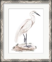 Framed 'White Heron IV' border=