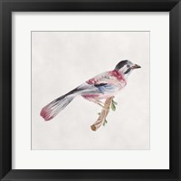 Bird Sketch I Framed Print