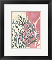 Framed 'Chromatic Sea Tangle III' border=