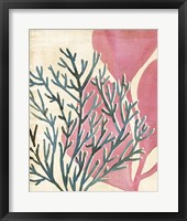 Chromatic Sea Tangle III Framed Print