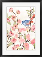 Framed Cherry Blossom Perch II