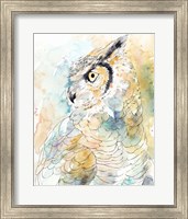 Framed 'Owl Majestic I' border=