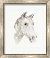 Framed 'Ivory Stallion I' border=