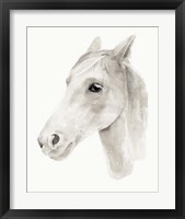 Framed 'Ivory Stallion II' border=