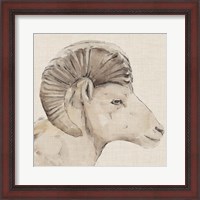 Framed 'Bighorn Profile II' border=