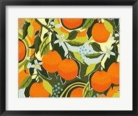 Framed Sweet Clementine I