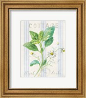 Framed 'Floursack Herbs IV' border=