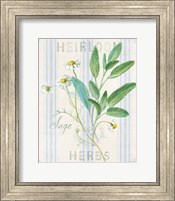 Framed 'Floursack Herbs III' border=