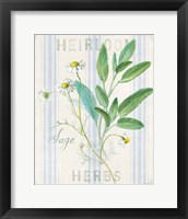 Framed 'Floursack Herbs III' border=