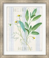 Framed 'Floursack Herbs III' border=