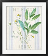 Framed Floursack Herbs III