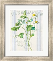 Framed 'Floursack Herbs II' border=