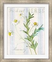 Framed 'Floursack Herbs I' border=