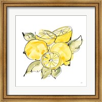 Framed Lemon Still Life IV