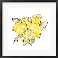 Framed Lemon Still Life IV