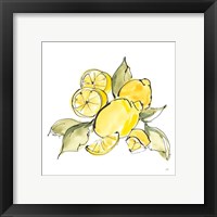 Framed 'Lemon Still Life III' border=