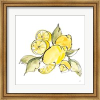 Framed 'Lemon Still Life III' border=