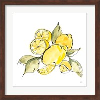 Framed 'Lemon Still Life III' border=