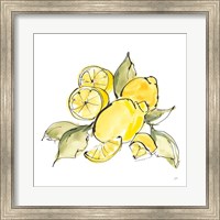 Framed 'Lemon Still Life III' border=