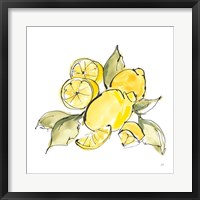 Framed 'Lemon Still Life III' border=