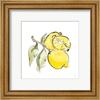 Framed 'Lemon Still Life II' border=