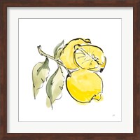 Framed 'Lemon Still Life II' border=