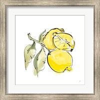 Framed 'Lemon Still Life II' border=