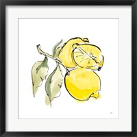 Framed Lemon Still Life II