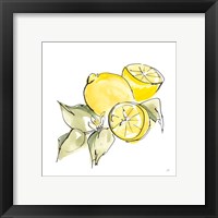 Framed 'Lemon Still Life I' border=