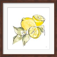 Framed 'Lemon Still Life I' border=