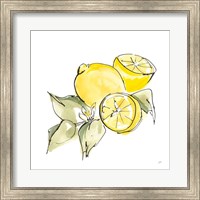 Framed 'Lemon Still Life I' border=