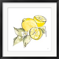 Framed 'Lemon Still Life I' border=