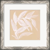 Framed 'Leaf Study VI' border=