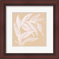 Framed 'Leaf Study VI' border=