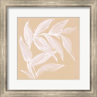 Framed 'Leaf Study VI' border=