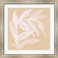 Framed 'Leaf Study VI' border=