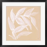 Leaf Study VI Framed Print