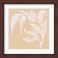 Framed 'Leaf Study V' border=