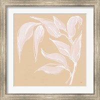 Framed 'Leaf Study V' border=