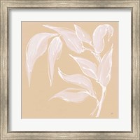 Framed 'Leaf Study V' border=