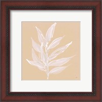 Framed 'Leaf Study IV' border=