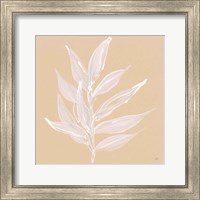 Framed 'Leaf Study IV' border=