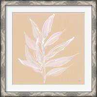 Framed 'Leaf Study IV' border=