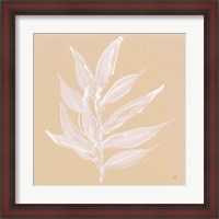 Framed 'Leaf Study IV' border=