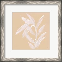 Framed 'Leaf Study III' border=